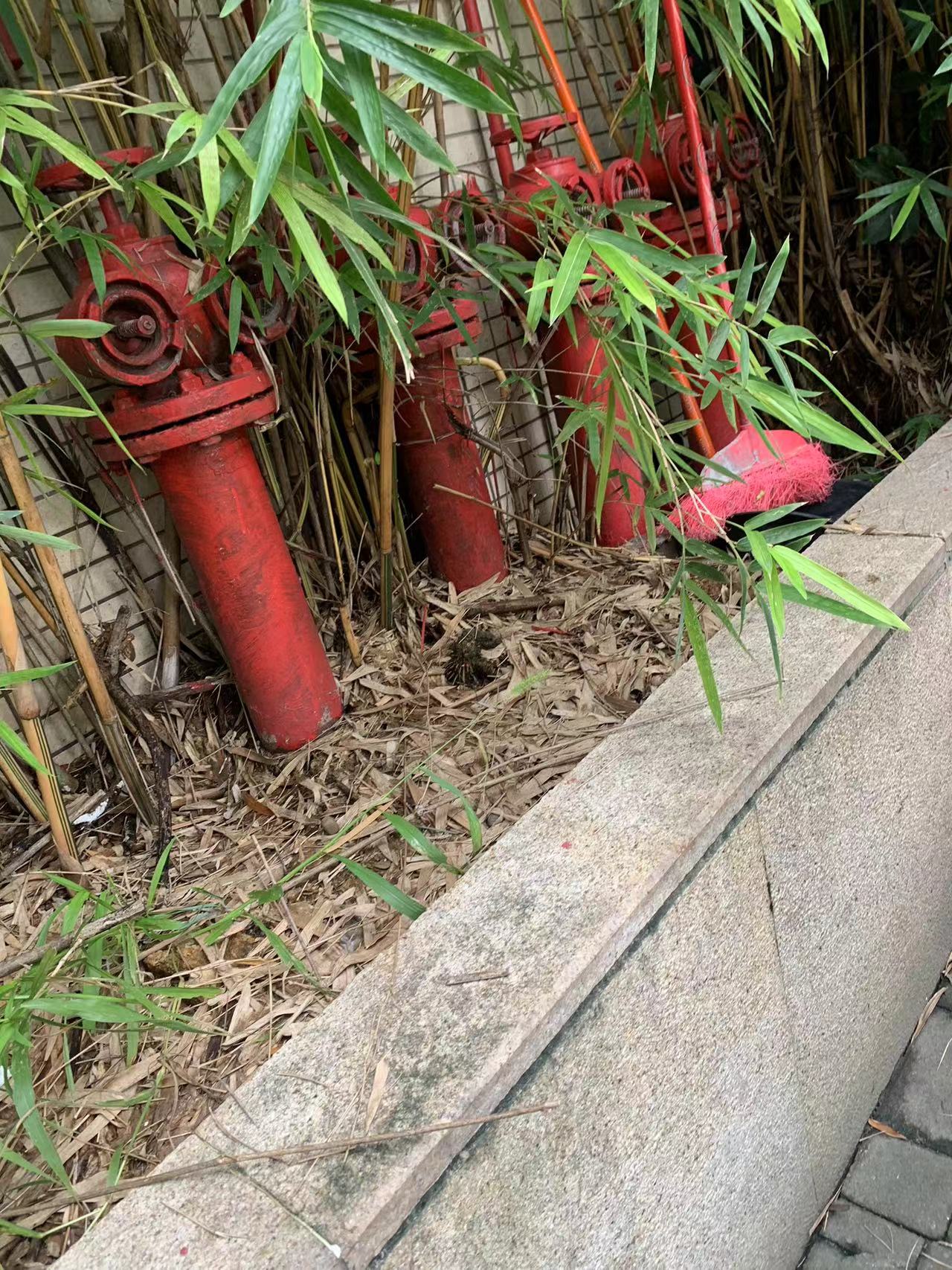 消防施工案例(图2)